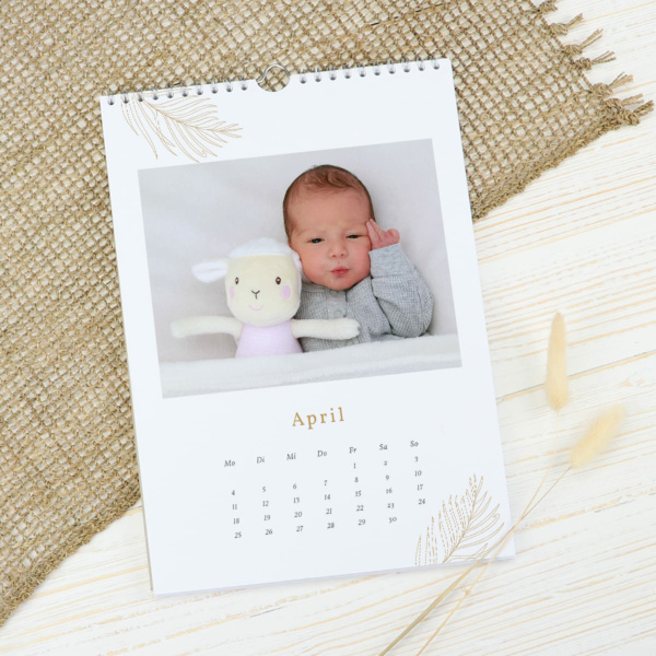 Wandkalender Farn